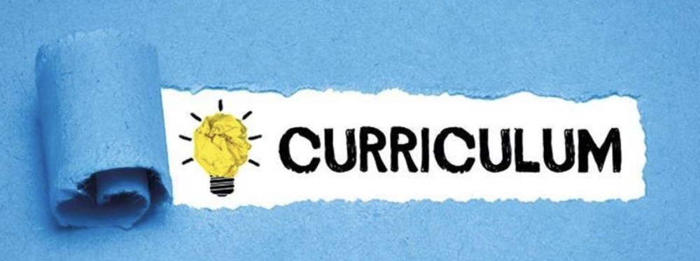 Curriculum