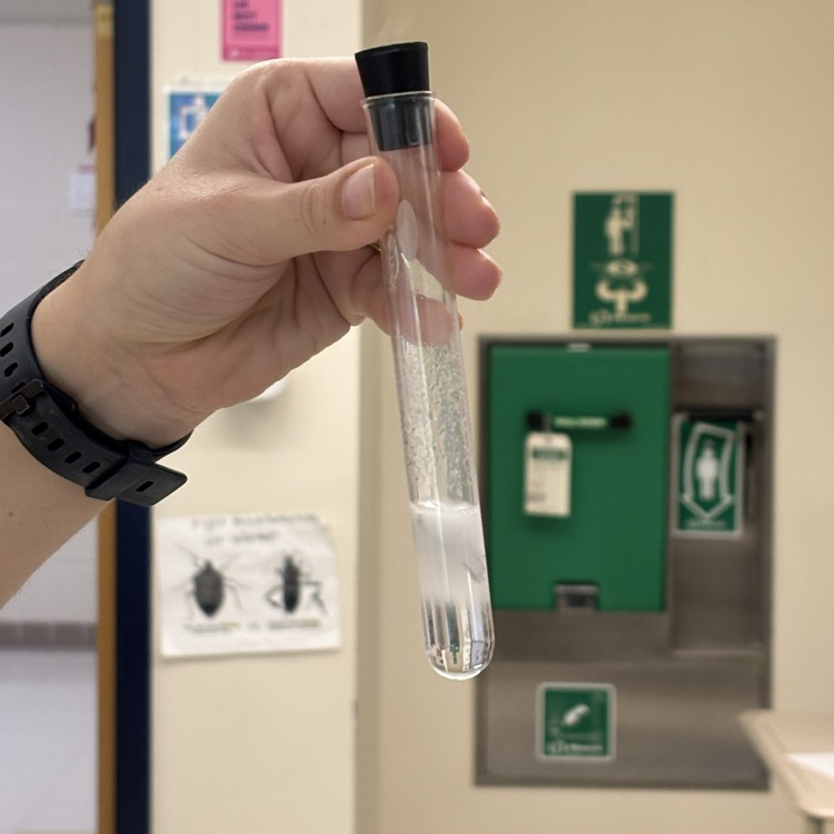 test tube 