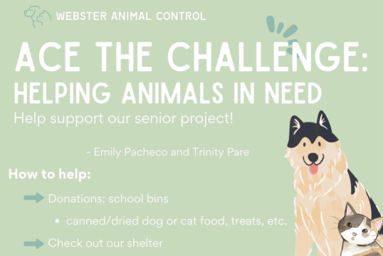 Help DHS Seniors "Ace" the challenge of Helping Animals!