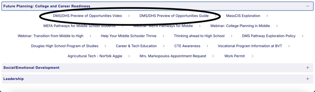 Links to Video and Guide