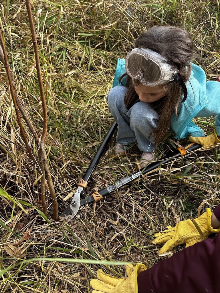 Prairie students remove willows