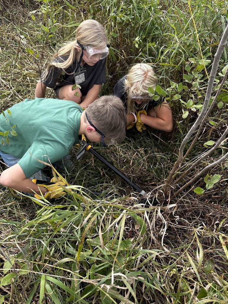 Prairie students remove willows
