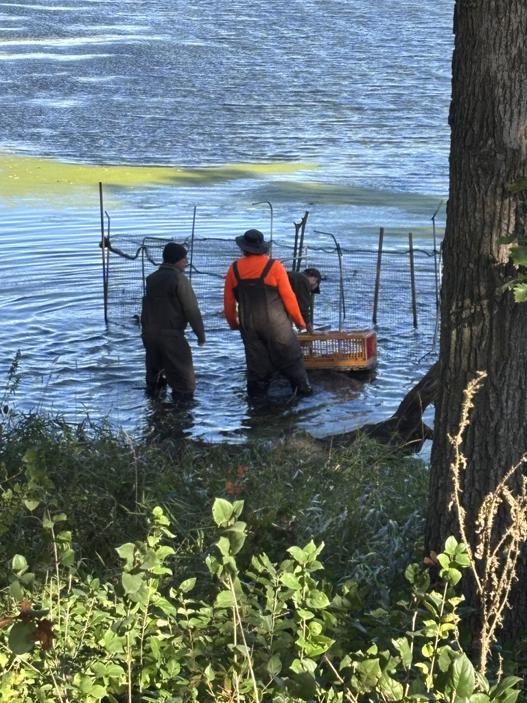 Prairie Science Class students band ducks