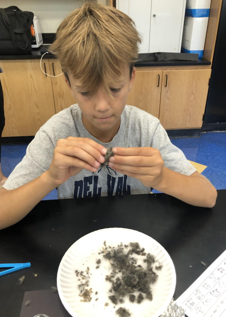 Science in action! 