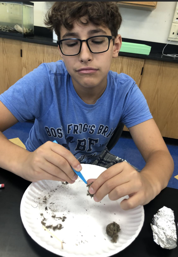 Science in action! 