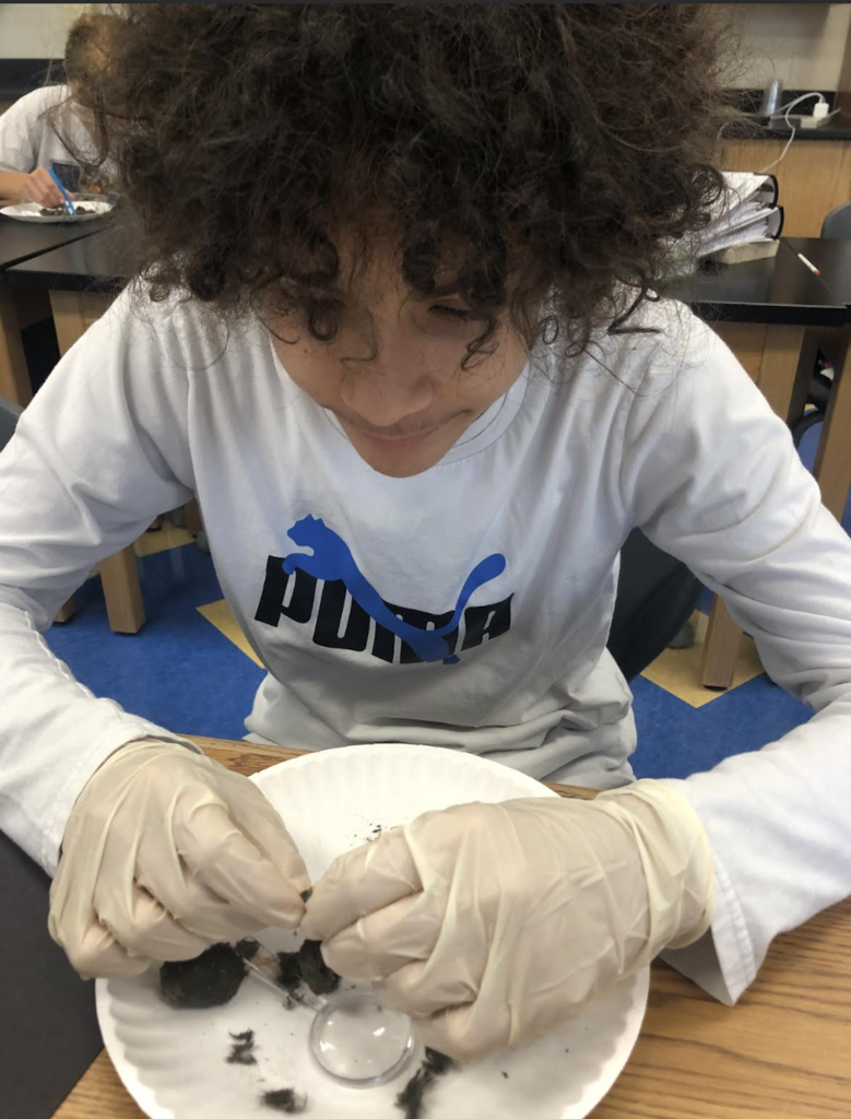 Science in action! 