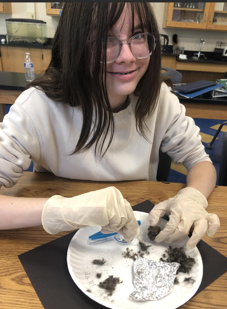 Science in action! 