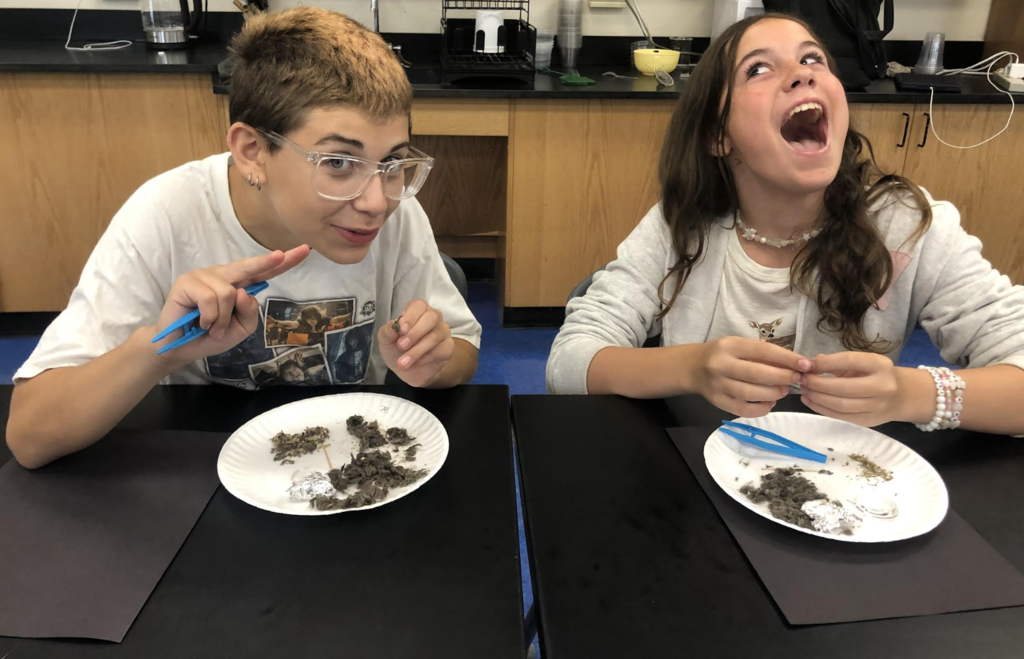 Science in action! 