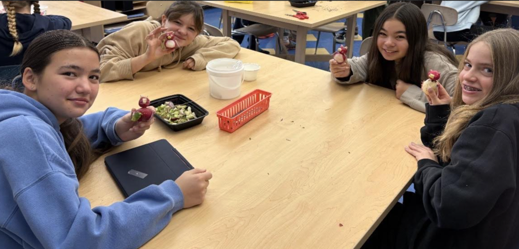 FES radishes on display at ArtYard! 