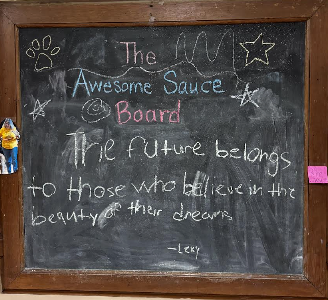 AWESOME SAUCE BOARD!