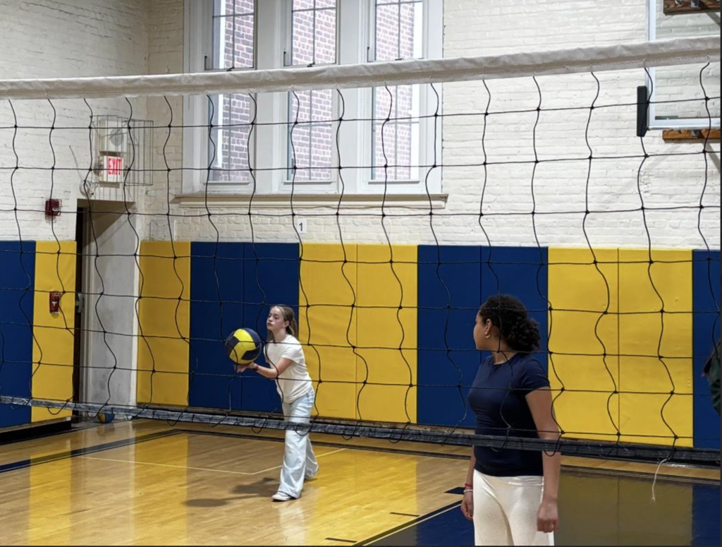 Volleyball Club! 
