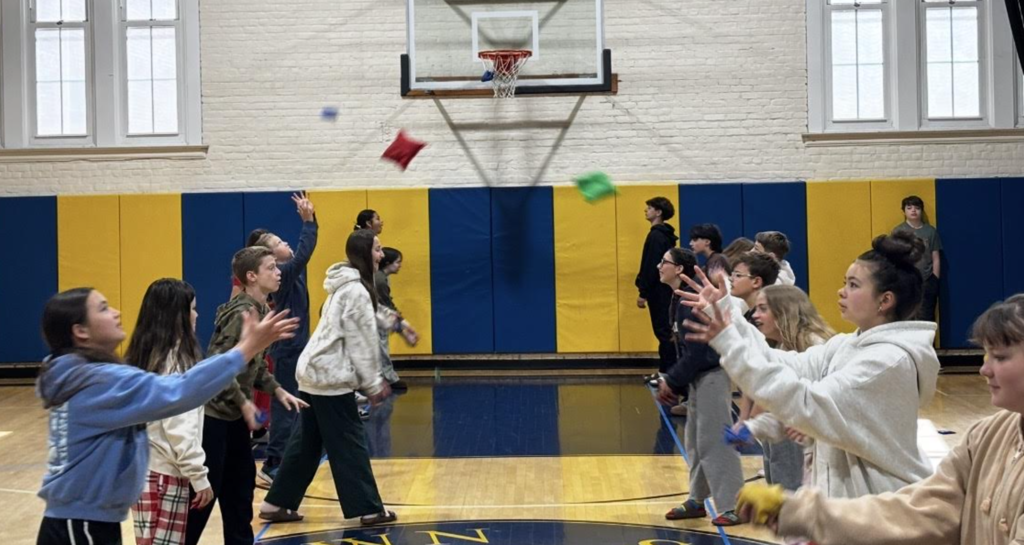 Terriers during testing week! 