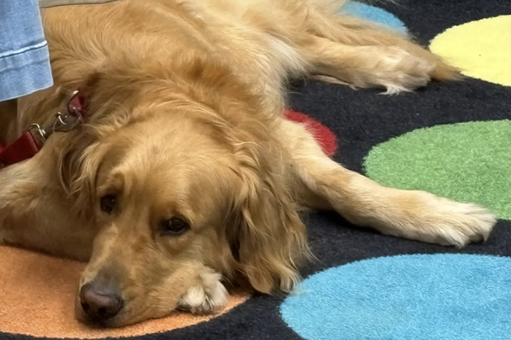 Summer Story Sessions with Marley and Miss Kelly!
