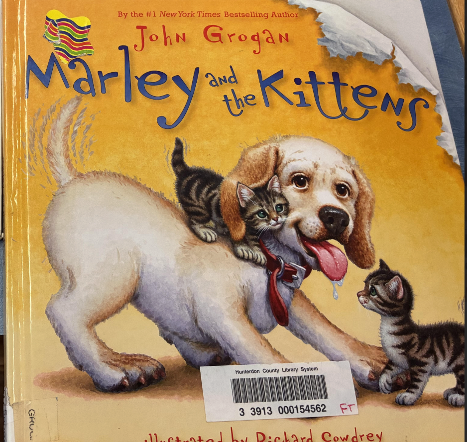 Summer Story Sessions with Marley and Miss Kelly! 