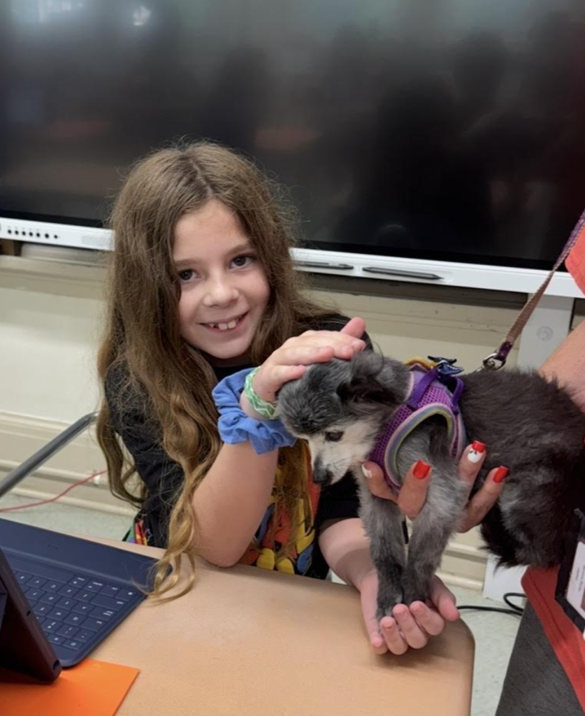 FES Therapy Dogs! 