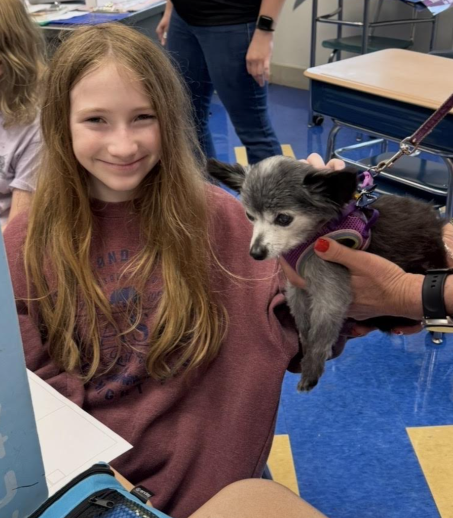 FES Therapy Dogs! 