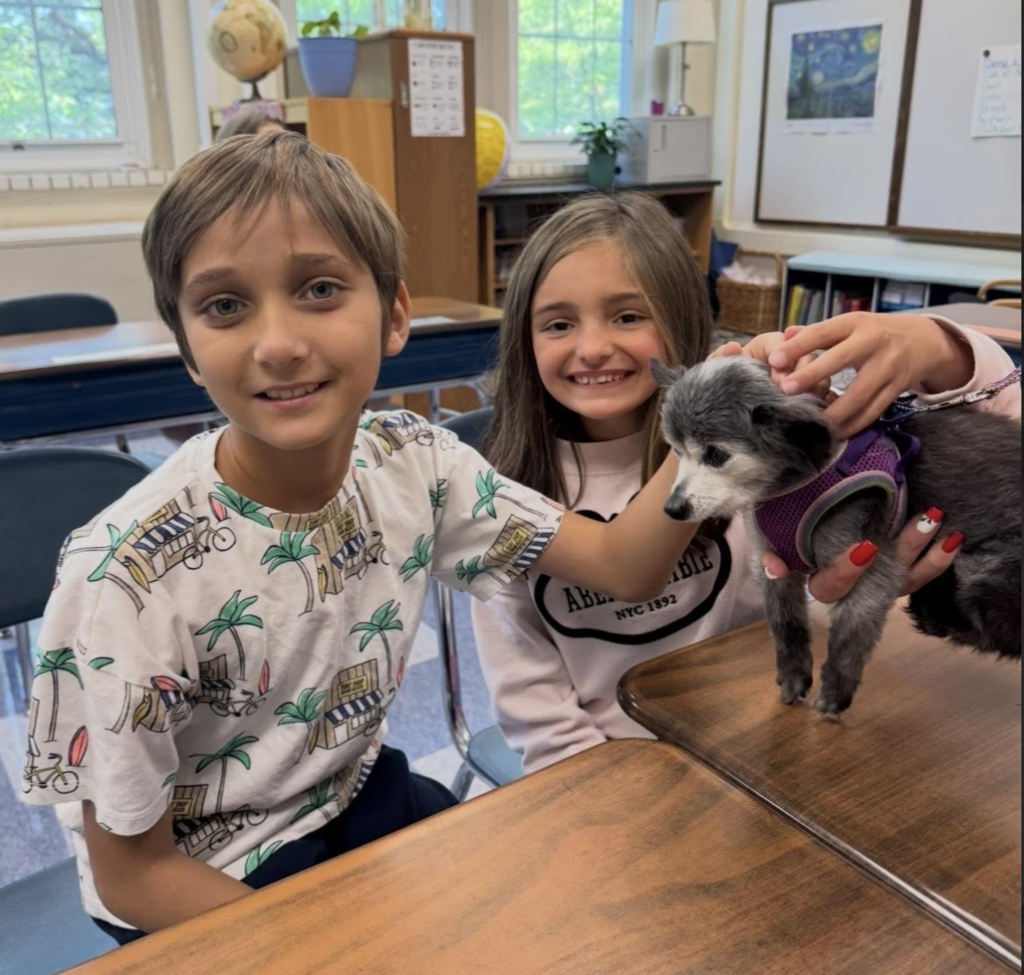 FES Therapy Dogs! 