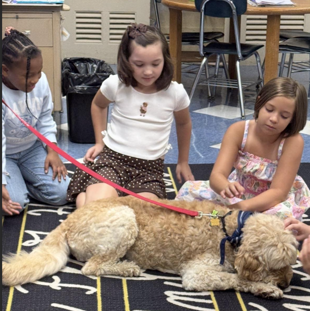 FES Therapy Dogs! 