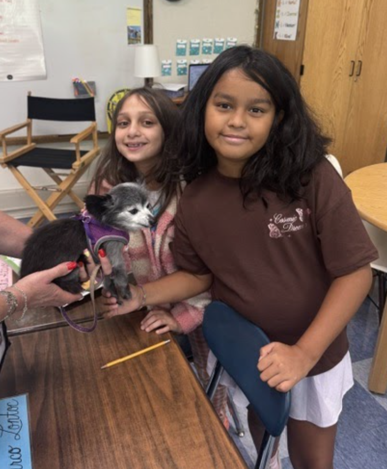 Therapy dogs at FES!