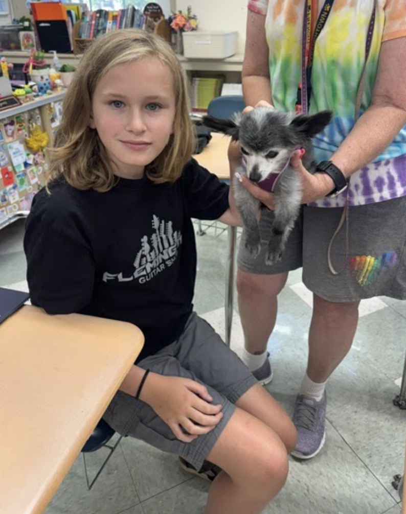 Therapy dogs at FES!
