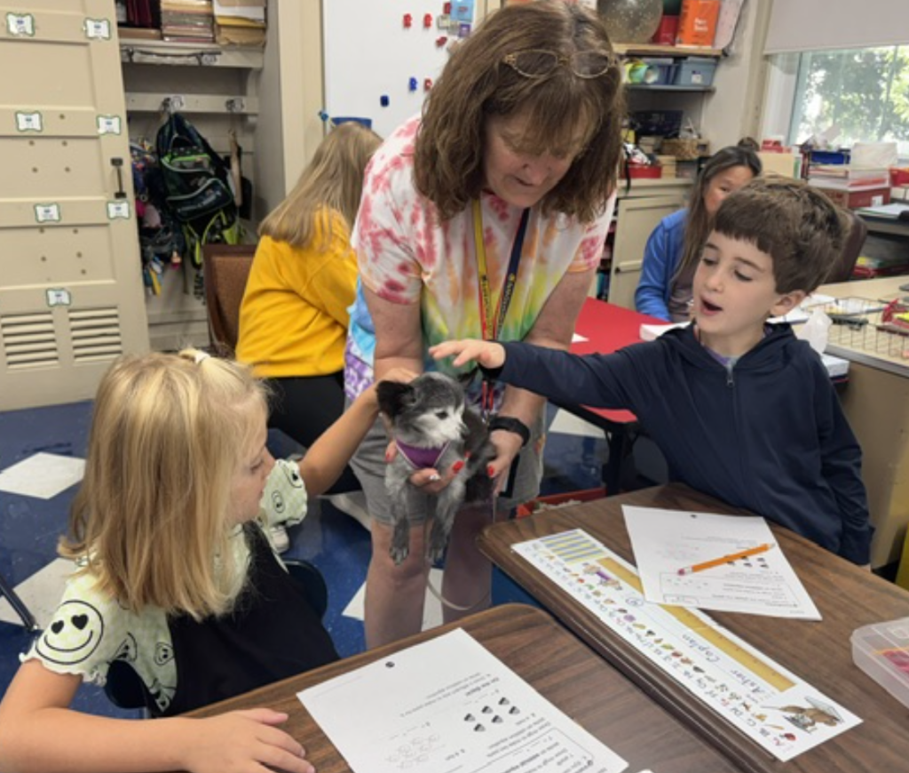 Therapy dogs at FES!