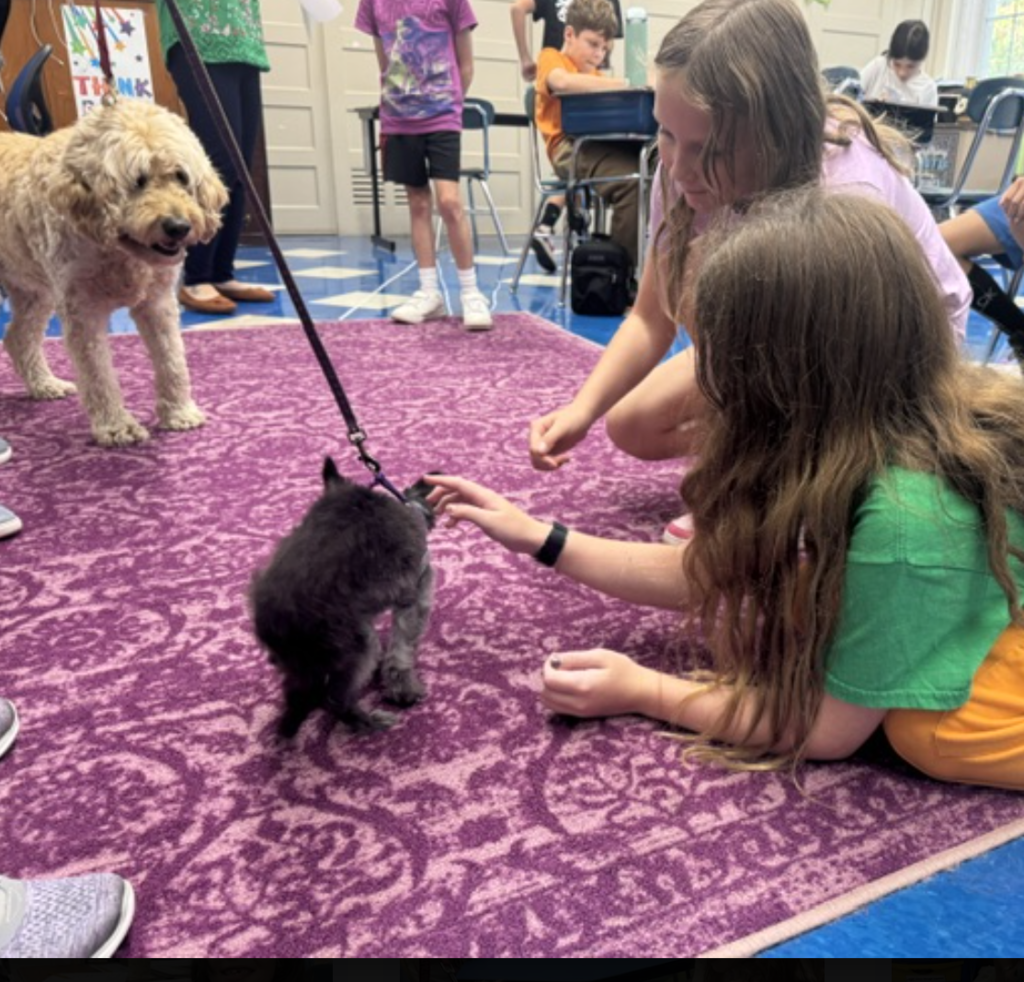 Therapy dogs at FES!