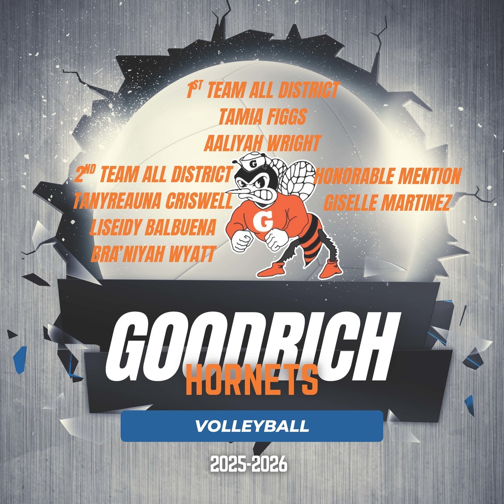 volleyball accolades