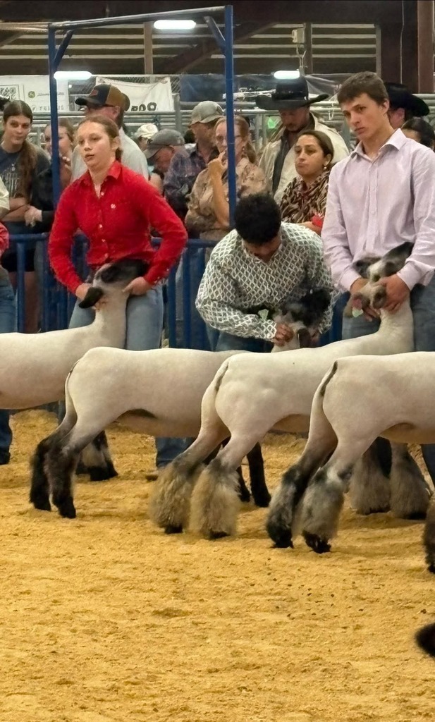 GISD FFA