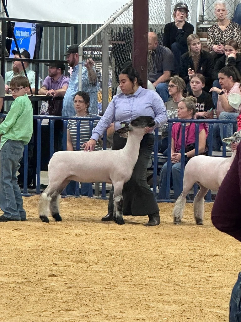 GISD FFA