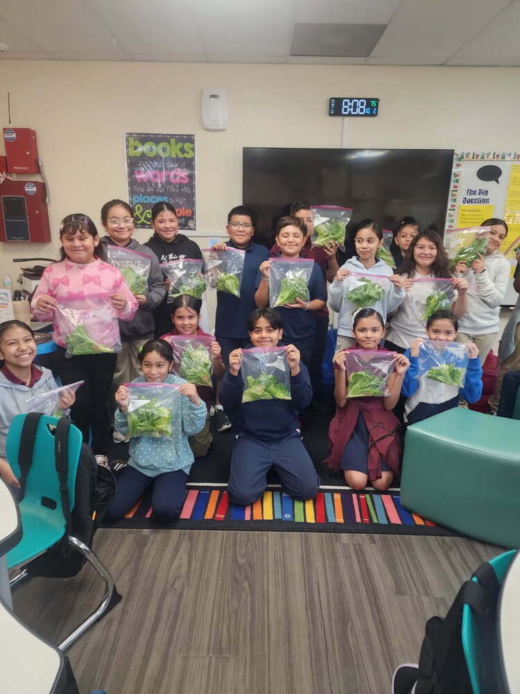 1. A group of elementary students pose together in the classroom after their first hydroponic lettuce harvest of the school year. Many students proudly hold clear plastic bags filled with freshly harvested green lettuce.