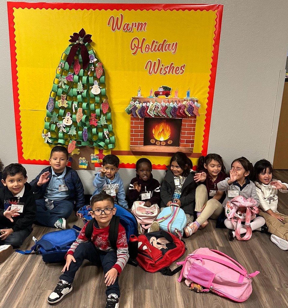 Class picture for room 9 in front of a fireplace and christmas tree.