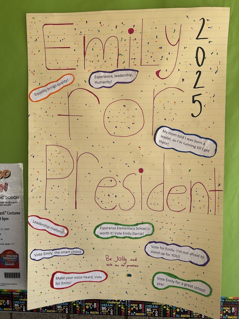A large, colorful poster for Emily for President 2025, covered in confetti.