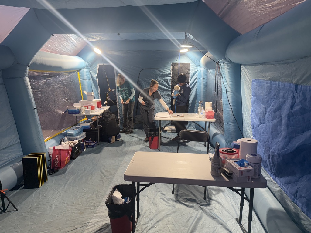 🐾 Supporting Our Families and Their Pets 🐾  At Isaac Middle School, we continue to offer a monthly pet clinic providing vaccines, microchips, and wellness checkups for dogs and cats. These events support many families while promoting responsible pet care and animal well-being within our community.  We appreciate the families and partners who help make this ongoing support possible each month. 💙🐶🐱