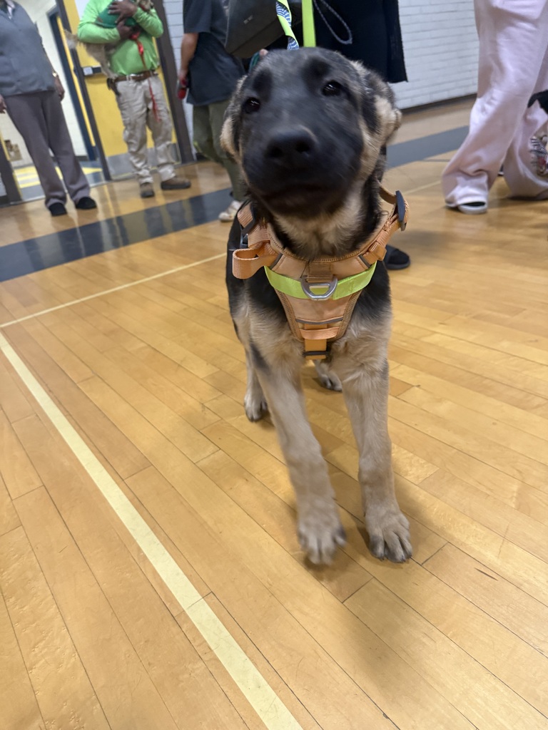 🐾 Supporting Our Families and Their Pets 🐾  At Isaac Middle School, we continue to offer a monthly pet clinic providing vaccines, microchips, and wellness checkups for dogs and cats. These events support many families while promoting responsible pet care and animal well-being within our community.  We appreciate the families and partners who help make this ongoing support possible each month. 💙🐶🐱