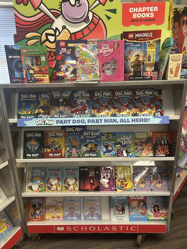 A close-up of the Chapter Books rack showing activity kits like "LEGO Ninjago," a "1500+ Sticker Book," and "BFF Bead Bracelet" kits sitting above rows of Dog Man and Cat Kid Comic Club books.