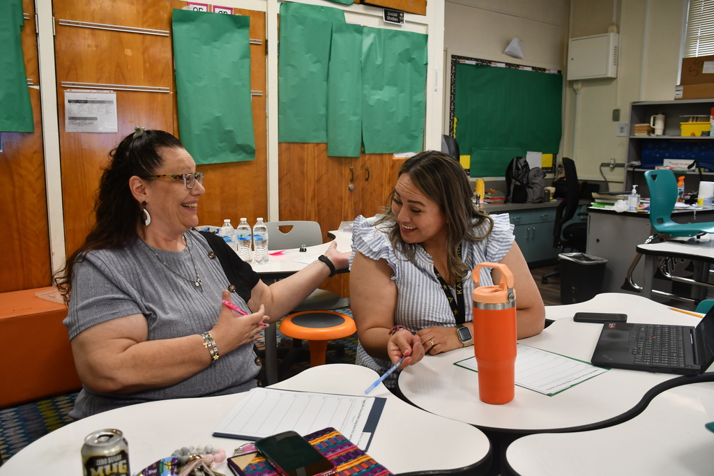 Teachers engaging in teacher development 