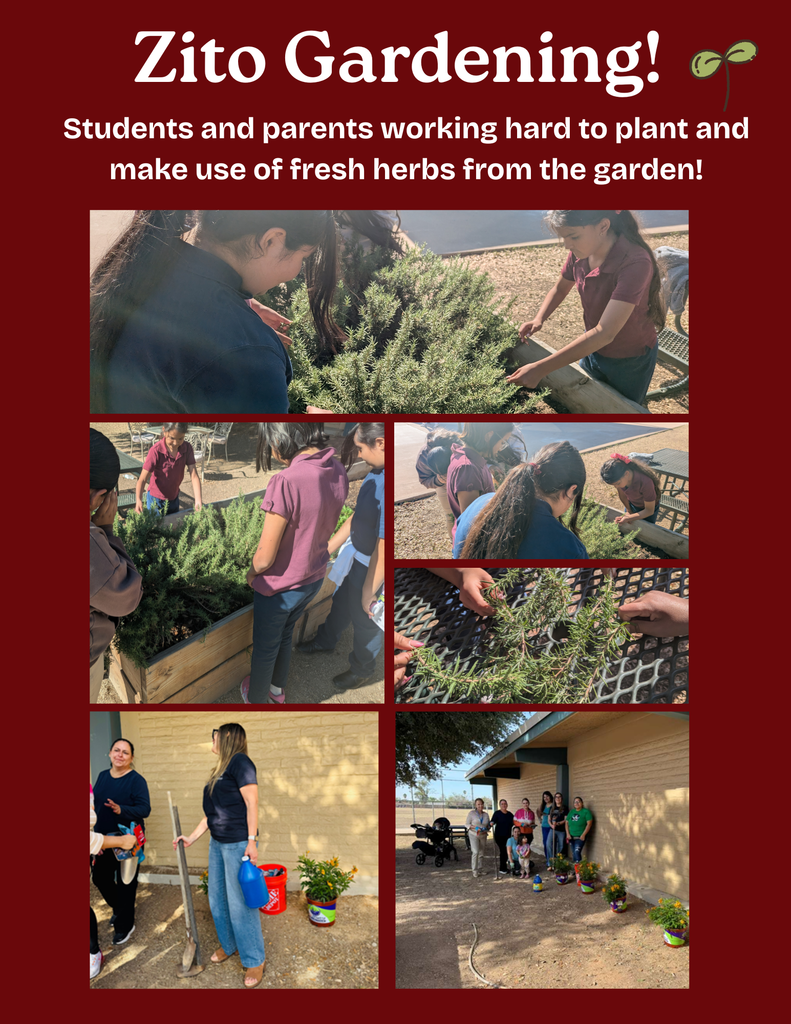 Zito Gardening 