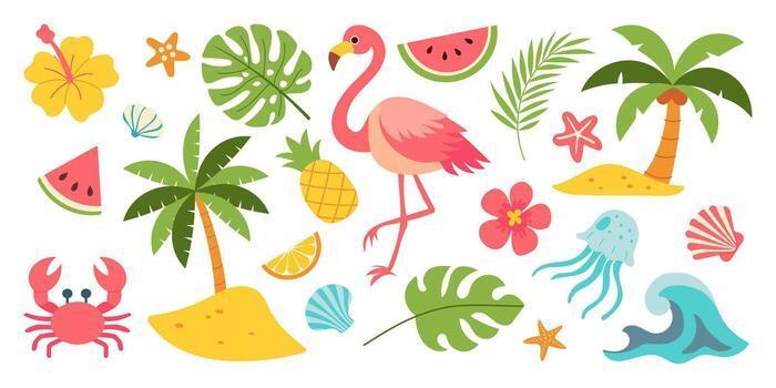 Variety of tropical images (ex. palm trees, flamingos, crabs, hibiscus flowers, etc.)