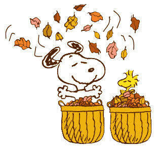Snoopy and Woodstock each in a basket of leaves throwing the leaves in the air