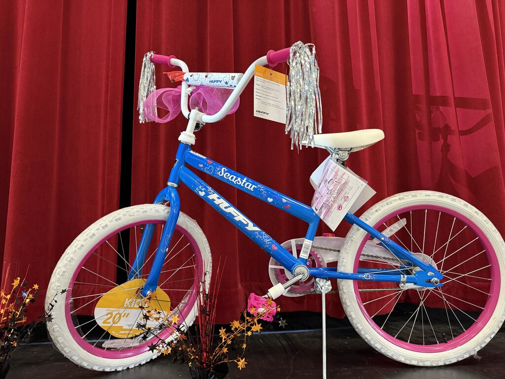 Girl Bike for raffle