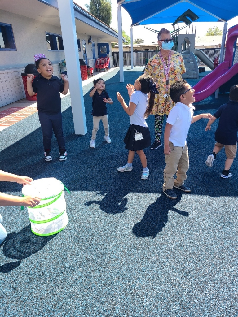 room 3 releasing their butterflies