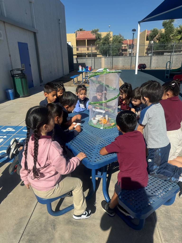 room 2 releasing their butterflies