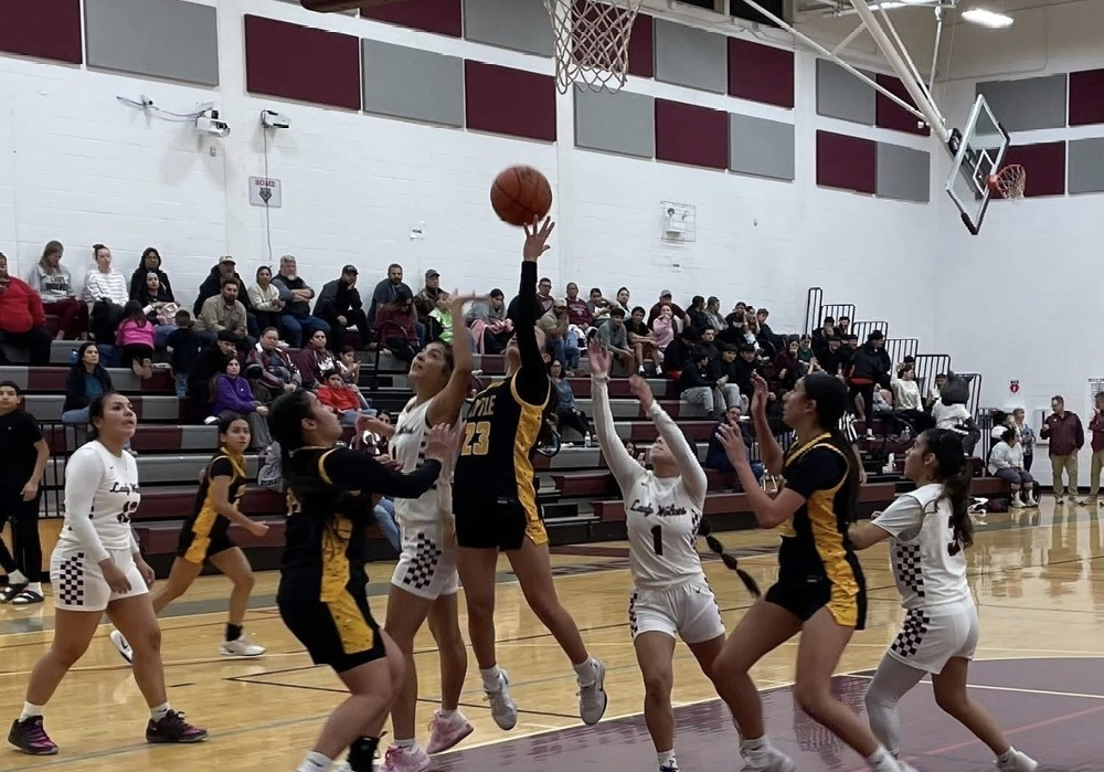 Girls Basketball v Dilley