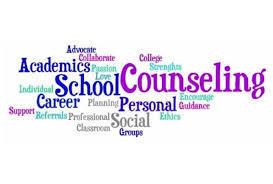 School Counselor characteristics