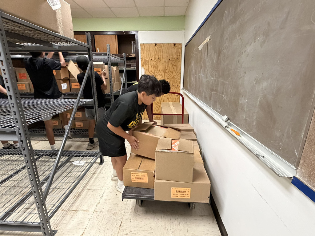 Students and staff helping with sorting textbooks.