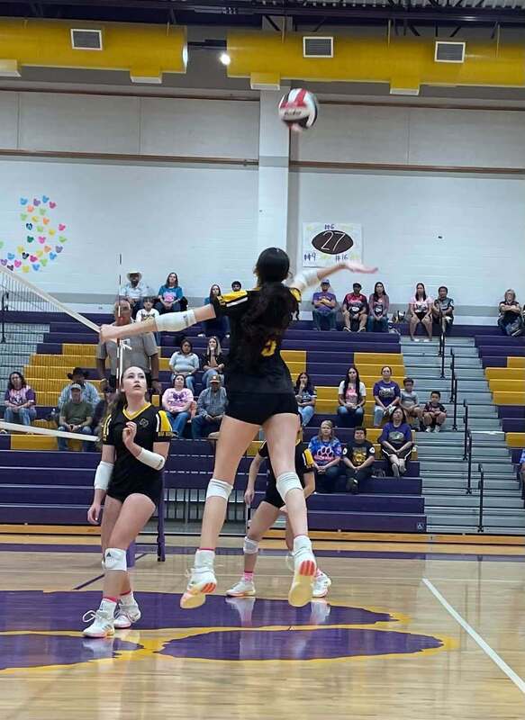 Volleyball player