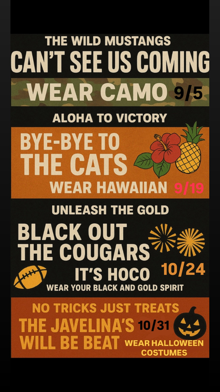 Pep Rally Themes Flyer