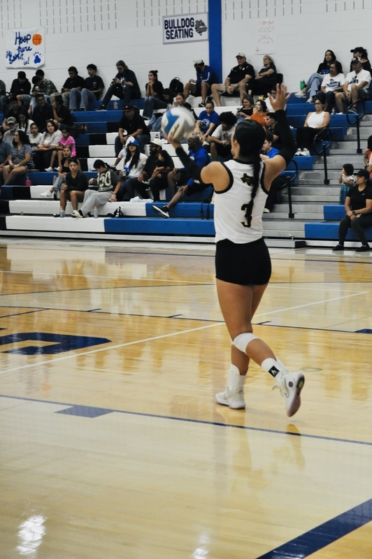 Varsity Volleyball