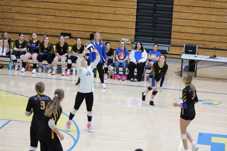 volleyball 