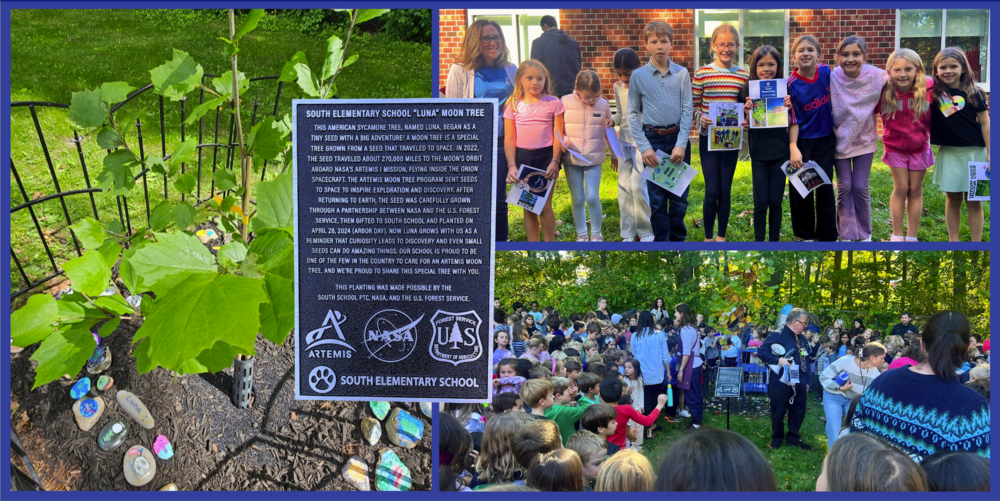 South School's NASA Moon Tree Celebrates Two Years with a Time Capsule for Future Generations